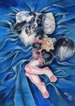 anthro black_body black_fur blue_eyes clothing female fur lingerie looking_at_viewer open_mouth pillow plushie solo thigh_stockings tongue tongue_out white_body white_fur heather_bruton border_collie canid canine canis collie domestic_dog herding_dog mammal pastoral_dog sheepdog 2024 traditional_media_(artwork)