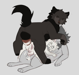 age_difference bodily_fluids breath brown_body brown_fur cum cum_in_ass cum_inside cum_on_penis feral feral_on_feral feral_penetrated feral_penetrating feral_penetrating_feral fur genital_fluids genitals grey_body grey_fur group group_sex intraspecies knot knotted_penis male male/male male_penetrated male_penetrating male_penetrating_male panting penetration penis sex threesome trio white_body white_fur littleperrito warriors_(book_series) aspenstar_(littleperrito) bearheart_(littleperrito) fan_character sealfluff_(littleperrito) domestic_cat felid feline felis mammal 2026 hi_res