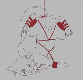 balls bdsm bondage bound feral genitals male penis penis_tip red_rope restraints rope rope_bondage rope_harness solo submissive submissive_male littleperrito warriors_(book_series) fan_character sealfluff_(littleperrito) domestic_cat felid feline felis mammal hi_res monochrome