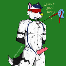 animal_genitalia anthro balls biped black_body black_fur black_markings black_tail blindfold blindfold_only blue_body blue_fur blue_hair blue_markings blue_stripes blush canine_genitalia collar dipstick_tail disembodied_hand erection fur genitals good_boy green_background green_collar green_nose hair hands_behind_back inner_ear_fluff knot knotted_penis leash leash_pull leashed_collar male markings multicolored_body multicolored_fur nipples nude penis pink_penis red_blindfold simple_background smile solo standing stripes tail tail_markings teeth text tuft white_body white_fur kingcosmicnick invisyarcticfox arctic_fox canid canine fox mammal true_fox 1:1 digital_media_(artwork) hi_res