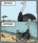 ambiguous_gender beverage_can border container cup drinking_straw frown holding_container holding_cup holding_object humor outside sitting smile solo standing text white_border tony_zuvela avian bird ostrich ratite comic english_text