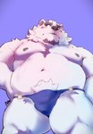 anthro belly black_nipples blush bulge clothing facial_hair fur goatee low-angle_view male musclegut muscular navel nipples pecs solo speedo swimwear white_body white_fur heylaw21 lifewonders live_a_hero borealis_(live_a_hero) bear mammal polar_bear ursine absurd_res hi_res