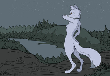 anthro breasts collar collar_only female forest forest_background fur lake looking_at_viewer mostly_nude nature nature_background nude plant side_view small_breasts solo standing tree white_body white_fur garbagegarage canid canine fox mammal hi_res