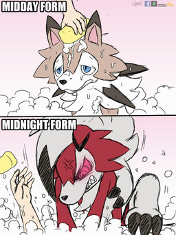5_fingers ambiguous_gender angry bathing blue_eyes bubble claws cross-popping_vein disembodied_hand feral fingers humor pink_background red_eyes sharp_teeth simple_background sponge teeth vein winick-lim nintendo pokemon canid canine generation_7_pokemon lycanroc mammal midday_lycanroc midnight_lycanroc pokemon_(species) werecreature 2016 comic digital_media_(artwork)