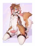 ankle_cuffs anthro bdsm blue_eyes blush bodily_fluids bondage bound brown_body brown_ears brown_fur brown_nose buckle chest_tuft collar cuff_(restraint) cum cum_drip cum_on_ground dripping dripping_penis ear_tuft ejaculation erection femboy fluffy fluffy_tail fur fur_markings genital_fluids genitals hands_restrained harness hip_tuft inner_ear_fluff kneeling male male_anthro markings nipples open_mouth penis pink_body pink_fur pink_nipples pink_penis pink_tongue restraints simple_background slim solo star tail teeth thigh_strap tongue tuft two_tone_tail white_background white_body wide_hips fumiko canid canine mammal 2024 digital_media_(artwork) hi_res