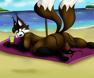 2_tails anthro balls beach brown_body brown_fur butt butt_focus candy chocolate dessert femboy food fur genitals looking_at_viewer male male/male multi_tail penis solo spiral star tail white_body white_fur derickk76 normanthefox canid canine fox mammal hi_res