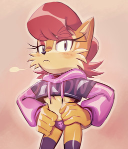 anthro blue_eyes blush breasts brown_body brown_hair clothing crop_top eyebrow_through_hair eyebrows eyelashes female hair hands_on_hips jacket legwear looking_at_viewer panties shirt solo thigh_highs topwear translucent translucent_hair under_boob underwear somedivs archie_comics meme_clothing paggi_outfit sega sonic_the_hedgehog_(archie) sonic_the_hedgehog_(comics) sonic_the_hedgehog_(series) sally_acorn chipmunk ground_squirrel mammal rodent sciurid tree_squirrel hi_res meme