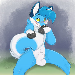 animal_genitalia anthro black_nose blue_body blue_fur blue_hair blush cheek_tuft facial_tuft fur genitals hair holding_own_tail holding_tail looking_up male nude sheath shy simple_background sitting smile snout solo spread_legs spreading tail tuft white_body white_fur yellow_eyes kwik_(artist) canid canine fox mammal 1:1 2024 colored colored_sketch digital_drawing_(artwork) digital_media_(artwork) hi_res shaded sketch