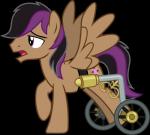 black_hair cutie_mark disability feathered_wings feathers hair male multicolored_hair purple_eyes purple_hair simple_background solo transparent_background two_tone_hair vector vehicle wheelchair wings vector-brony hasbro my_little_pony mythology stellar_eclipse_(mlp) equid equine mammal mythological_creature mythological_equine pegasus 2014 absurd_res alpha_channel digital_media_(artwork) hi_res