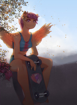 5_fingers anthro barefoot biped bottomwear breasts clothed clothing cutie_mark eyebrows eyelashes falling_leaves feathered_wings feathers feet female fingers hair leaf orange_body orange_feathers outside purple_eyes purple_hair shadow shirt short_hair shorts sitting skateboard sky solo tank_top teeth tomboy topwear vehicle wind wings dagmell friendship_is_magic hasbro my_little_pony mythology scootaloo_(mlp) equid equine mammal mythological_creature mythological_equine pegasus 2018 absurd_res hi_res portrait
