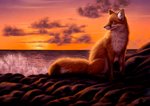 amazing_background ambiguous_gender cloud detailed_background detailed_fur feral fur inner_ear_fluff light orange_body orange_fur outside scenery scenic_view sea sky solo sun tuft water white_body white_fur kippycube canid canine fox mammal red_fox true_fox 2019 detailed lighting