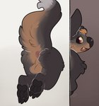 anthro anus backsack balls butt fur genitals hair male nude open_mouth paws raised_tail simple_background solo stuck tail through_wall kaiizree korwin mammal absurd_res hi_res