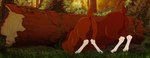 anus ass_up balls butt duo feral forest fur genitals grass log male nude outside plant raised_tail scut_tail short_tail stuck tail tail_anus trapped tree wood zafara_(artist) brother_bear disney deer mammal moose new_world_deer 2021