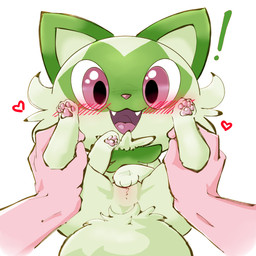 bestiality blush blush_lines chibi disembodied_hand duo exclamation_point fangs female female_on_human feral genitals green_body happy heart_symbol human_on_feral interspecies larger_human larger_male leg_grab looking_at_viewer lying male male/female male_on_feral on_back on_model open_mouth pawpads paws pokephilia presenting presenting_vulva simple_background size_difference smaller_female smaller_feral spread_legs spreading teeth vulva white_background aka_leopard nintendo pokemon felid feline generation_9_pokemon human mammal pokemon_(species) sprigatito 1:1 absurd_res digital_drawing_(artwork) digital_media_(artwork) hi_res