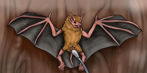 5_fingers 5_toes against_surface anatomically_correct anatomically_correct_anus anatomically_correct_genitalia anatomically_correct_vulva animal_genitalia animal_vulva anus barely_visible_anus bat_ears bat_nose bat_tail bat_wings big_ears black_membrane black_wings brown_eyes chiropteran_genitalia chiropteran_vulva claws cotton_swab fangs feet female female_feral feral fingers forehead_tuft front_view fur furniture gaping gaping_vagina genitals hair head_tuft high-angle_view improvised_sex_toy inspection looking_at_object looking_down looking_down_at_object lying membrane_(anatomy) membranous_wings neck_tuft nude on_back open_mouth pink_arms pink_feet pink_legs pink_vulva plantigrade pubes realistic_feral simple_background solo spread_wings table tail tail_membrane tan_body tan_fur teeth toes tongue tragus tuft vulva winged_arms wings wood wood_furniture wood_table betlv bat mammal tricolored_bat 2026 absurd_res digital_drawing_(artwork) digital_media_(artwork) hi_res shaded