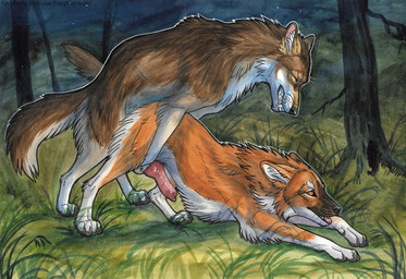 anal anal_penetration animal_genitalia animal_penis balls bared_teeth black_nose brown_body brown_fur canine_genitalia canine_penis clenched_teeth duo erection eyes_closed feral feral_on_feral feral_penetrated feral_penetrating feral_penetrating_feral from_behind_position fur genitals grass intraspecies knot knotted_penis male male/male male_feral male_penetrated male_penetrating male_penetrating_male mating_grip night open_mouth orange_body orange_eyes orange_fur outside penetration penile penile_penetration penis plant red_penis red_tongue sex side_view teeth tongue tongue_out tree white_body white_fur heatherwolf canid canine mammal absurd_res hi_res