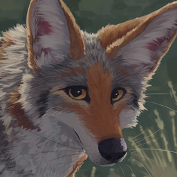 ambiguous_feral ambiguous_gender black_eyes black_nose feral fur green_background grey_body grey_fur looking_at_viewer multicolored_body multicolored_fur orange_body orange_fur simple_background solo whiskers white_body white_fur yellow_sclera faryart canid canine canis coyote mammal 1:1