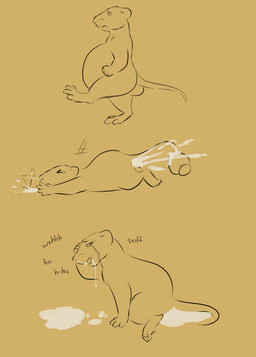 ambiguous_gender anal anal_penetration bodily_fluids buttplug buttplug_in_ass buttplug_insertion cum cum_expulsion cum_from_ass cum_from_mouth cum_from_nose cum_in_ass cum_in_mouth cum_in_nose cum_inflation cum_inside cum_overflow cum_plugged cum_vomit feral genital_fluids inflation object_in_ass penetration plug_(sex_toy) plug_insertion sex_toy sex_toy_in_ass sex_toy_insertion solo tears ratkingofteeth mammal murid murine rat rodent black_and_yellow hi_res monochrome