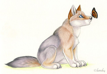 2014 ambiguous_gender arthropod butterfly canine cub cute feral insect korrok mammal wolf young
Rating: Safe
Score: 14
User: tony311
Date: April 07, 2014
