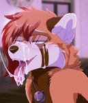 anthro bodily_fluids cum cum_drip cum_in_mouth cum_inside cum_on_face cum_trail cumshot dog_tags dripping ejaculation eyewear genital_fluids glasses kneeling male male/male solo tongue tongue_out wearing_glasses lawkie kouki_(athelwah) ailurid mammal red_panda hi_res