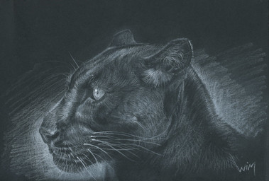 ambiguous_gender feral fur inner_ear_fluff solo tuft whiskers wimke felid mammal pantherine greyscale hi_res monochrome portrait source_request traditional_media_(artwork) unavailable_at_source