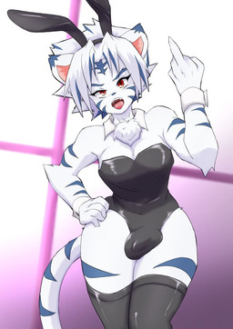 anthro breasts bulge bunny_costume casino clothed clothing costume crossdressing crossdressing_male fangs femboy feminine_pose gesture hand_gesture legwear male middle_finger pantyhose partially_clothed prostitution sex_worker small_waist solo teeth thick_thighs tongue wide_hips sinsab193 onmyou_taisenki kogenta_(onmyou_taisenki) felid mammal pantherine tiger