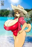 anthro big_breasts blue_eyes breasts brown_eyebrows brown_hair clothing day eyebrows female fingers hair headgear headwear huge_breasts one-piece_swimsuit outside solo swimwear water halotroll june_(jinu) canid canine canis domestic_dog mammal shiba_inu spitz 2019 absurd_res hi_res