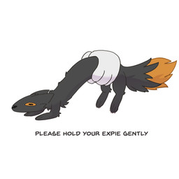 4_fingers 4_toes ambiguous_gender anthro arm_tuft back_tuft black_body black_ears black_eyes black_fur black_nose black_text claws countershade_fur countershading digitigrade dipstick_tail disembodied_hand duo elbow_tuft feet feral feralized fingers fluffy fluffy_chest fluffy_tail fur grabbing_another hands_on_stomach head_tuft holding_another holding_stomach humanoid_hands humor leg_tuft long_body long_snout looking_at_viewer markings narrowed_eyes neck_tuft nude orange_body orange_fur orange_sclera orange_tail_tip public_service_announcement quadruped simple_background snout tail tail_markings text thigh_tuft toe_claws toes tuft white_background white_body white_claws white_fur white_hands saturnsamo casualties:_unknown gunsaw canid canine expie_(gunsawian) fox gunsawian hybrid mammal murid murine rat rodent 1:1 2026 absurd_res digital_drawing_(artwork) digital_media_(artwork) english_text hi_res shaded