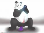 anal anal_masturbation anal_penetration anthro balls dildo dildo_sitting erection genitals humanoid_genitalia humanoid_penis male masturbation nude penetration penis sex_toy simple_background solo toying_self white_background ursofofinho cartoon_network we_bare_bears panda_(we_bare_bears) bear giant_panda mammal