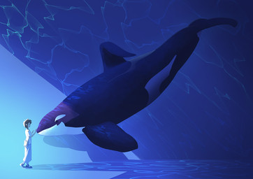 black_body black_fin black_tail blue_background clothing dolphin_tail female feral male male/female simple_background tail white_body white_clothing the7thsea aquatic cetacean dolphin human mammal oceanic_dolphin orca toothed_whale 2025