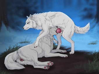 30fps balls blowjob_face butt cookie deep_throat duo erection fellatio female feral feral_on_feral feral_penetrated feral_penetrating feral_penetrating_feral food forest genitals knot knotted_penis licking male male/female oral oral_penetration paws penetration penile penis plant sex snow suction tail throat tongue tree vulva white_body winter shtoltz valiberite canid canine canis domestic_dog mammal wolf 2d_animation animated artist_collaboration hi_res short_playtime sound video
