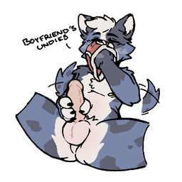 anthro balls clothing fur genitals male masturbation multicolored_body multicolored_fur musk olfactophilia penile penile_masturbation penis simple_background sniffing sniffing_clothes solo tail tail_motion tailwag underwear underwear_sniffing backboned_(artist) 1:1