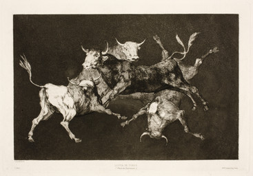 2_horns animal_genitalia feral fully_sheathed fur genitals group hooves horn male quadruped realistic realistic_feral sheath snout tail tail_tuft tuft francisco_goya bovid bovine cattle mammal 1877 19th_century ancient_art formal_art hi_res traditional_media_(artwork)