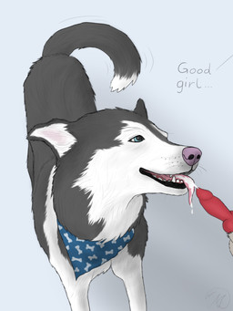animal_genitalia animal_penis anthro anthro_on_feral balls bestiality blue_eyes blue_scarf bodily_fluids canine_genitalia canine_penis cum cum_in_mouth cum_inside duo erection fellatio female female_on_anthro feral fur genital_fluids genitals good_girl grey_body grey_fur knot knotted_penis male male/female oral penile penis pet_praise pink_nose praise scarf sex tail tail_motion tailwag text tongue tongue_out white_body white_fur maklykan canid canine canis domestic_dog husky mammal nordic_sled_dog spitz 3:4 absurd_res hi_res