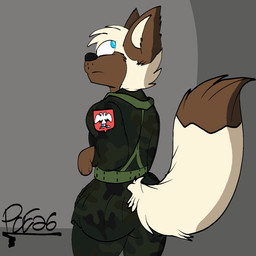 anthro butt camo camo_clothing camo_jacket camo_print clothing fox_tail male military military_uniform pattern_clothing raised_tail soldier solo suggestive_pose tail uniform warrior piperis canid canine canis domestic_dog herding_dog jackal malinois_dog mammal pastoral_dog sheepdog 1:1 hi_res
