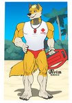 anthro beach blonde_hair bulge clothing fur hair lifeguard male muscular seaside solo speedo swimwear yellow_body yellow_fur grimsvault blake_gibson canid canine canis mammal wolf absurd_res hi_res