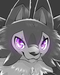 ambiguous_gender fangs feral fluffy fur looking_at_viewer purple_eyes solo spikes spikes_(anatomy) teeth sylfeanne nintendo pokemon canid canine generation_7_pokemon lycanroc mammal midday_lycanroc pokemon_(species) 2025 4:5 absurd_res hi_res