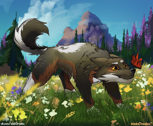 black_tail brown_body brown_fur curiosity detailed_background ears_back feral field flower fluffy fluffy_tail fur grey_body grey_fur male mountain multicolored_body multicolored_fur pivoted_ears plant red_wings sky solo spruce tail text tree white_body white_fur wings yellow_sclera xleb0rezka arthropod butterfly canid canine canis insect lepidopteran mammal wolf 2022 digital_drawing_(artwork) digital_media_(artwork) hi_res url watermark