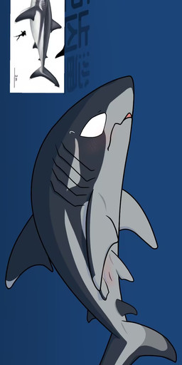blush body_blush female feral genitals solo text toony vulva vulva_blush 1145_(artist) aquatic fish mackerel_shark megalodon prehistoric_species shark chinese_text hi_res