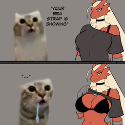 abs ahoge anthro areola avian_arms beak big_breasts biped black_bra black_clothing black_underwear blonde_hair blue_eyes bodily_fluids bra bra_strap breasts clothed clothed_anthro clothed_female clothing clothing_lift collar dripping duo feathers female feral front_view grey_background grey_clothing hair long_hair looking_at_viewer looking_down muscular muscular_anthro muscular_female navel neck_tuft nipples open_mouth presenting presenting_breasts raised_clothing raised_shirt raised_topwear red_body red_feathers saliva saliva_drip saliva_string shirt shirt_lift simple_background small_tail smile standing straps t-shirt t-shirt_lift tail text topwear tuft underwear yellow_sclera bimbimbambam bra_strap_showing_(meme) nintendo pokemon blaziken domestic_cat felid feline felis generation_3_pokemon mammal pokemon_(species) hi_res meme