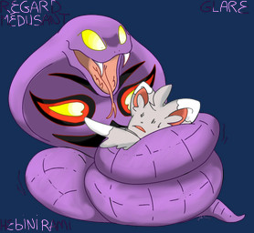 ambiguous_gender coiling duo fangs feral forked_tongue fur grey_body grey_fur imminent_danger imminent_vore open_mouth purple_body snake_hood teeth tongue nelsonnoir nintendo pokemon arbok chinchillid generation_1_pokemon generation_5_pokemon mammal minccino pokemon_(species) reptile rodent scalie 2015 alpha_channel