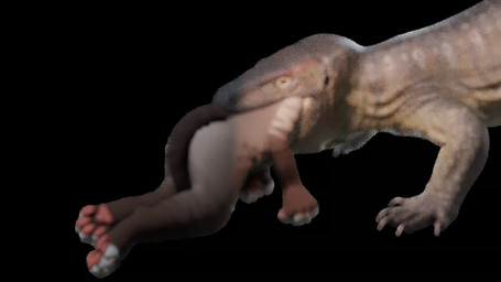 ambiguous_gender anthro anthro_prey duo feline_prey feral feral_pred forced oral_vore paws same_size_vore simple_background swallowed_alive swallowing transparent_background vore joemamaplumbing domestic_cat felid feline felis komodo_dragon lizard mammal megalania monitor_lizard reptile scalie 16:9 3d_(artwork) 3d_animation alpha_channel animated blender_(artwork) blender_cycles_(artwork) digital_media_(artwork) hi_res huge_filesize long_playtime no_sound video widescreen