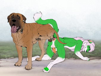 all_fours anal anal_knotting anal_penetration animal_genitalia animal_penis anthro anthro_on_feral anthro_penetrated balls bestiality black_nose blue_eyes bodily_fluids brown_balls brown_body brown_eyes brown_fur brown_pawpads brown_tail canine_genitalia canine_penis closed_smile dipstick_tail drooling duo erection feral feral_penetrating feral_penetrating_anthro fur genitals green_body green_fur green_pawpads green_tail interspecies knot knot_root knotted_penis knotting male male/male male_penetrated male_penetrating male_penetrating_male mane markings masturbation mouth_closed open_mouth outside pawpads penetration penile penile_masturbation penile_penetration penis penis_in_ass pink_mane raised_leg realistic_feral red_penis saliva sex sheath smile tail tail_markings text tongue tongue_out whiskers white_body white_fur white_tail kodaac canid canine canis domestic_dog felid lion mammal molosser pantherine artist_name hi_res