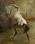 19th_century ancient_art anus backsack balls butt detailed_background equid equine feral fur genitals horse inside male mammal painting_(artwork) raised_tail realistic_feral rear_view rudolph_koller solo tail traditional_media_(artwork) white_body white_fur