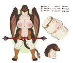 anthro anus back_wings barbarian big_breasts bracelet breasts brown_body brown_feathers butt fantasy feathered_wings feathers female genitals gold_legband half-closed_eyes huge_breasts humanoid_genitalia humanoid_pussy jewelry narrowed_eyes neck_tuft nipples non-mammal_nipples nude pink_nipples pussy quarterstaff red_sclera simple_background solo tan_body tan_feathers thick_thighs tuft warrior white_background wide_hips wings roly mythology freya_(metalmax1991) avian gryphon mythological_avian mythological_creature 2022 digital_media_(artwork) model_sheet