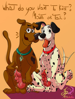 aroused balls collar duo feral genitals knot male pawpads paws penis spots tongue tongue_out conditional_dnp lobofeo 101_dalmatians disney hanna-barbera scooby-doo_(series) pongo scooby-doo canid canine canis dalmatian domestic_dog great_dane mammal mastiff molosser absurd_res hi_res