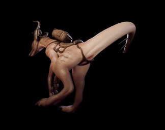 animal_genitalia anus biped bipedal_feral female female_feral feral genitals harness raised_tail solo tail tail_anus thick_tail vulva discreet_user lucy_(discreet_user) scalie 2025 3d_(artwork) 3d_animation animated digital_media_(artwork) no_sound short_playtime webm