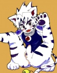 anus balls bell butt byakko cat cum feline kogenta legs_up male onmyou_taisenki open_mouth penis plain_background presenting presenting_hindquarters red_eyes sitting solo teeth tiger tongue young
Rating: Explicit
Score: 0
User: jinji
Date: January 07, 2010