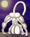 abs anthro anus ass_up big_breasts big_muscles breasts female fur genitals huge_breasts jack-o'_pose moon muscular muscular_female muscular_legs nude obliques pecs_with_breasts pose pussy serratus solo stripes triceps white_body white_fur yellow_stripes ixthyria mishar felid mammal pantherine tiger hi_res