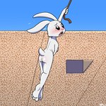 3_toes anthro blush breasts butt embarrassed feet female nude nude_female paws plantigrade public public_nudity rear_view side_boob soles stadium suspension toes white_body theenfman beastars the_simpsons haru_(beastars) domestic_rabbit dwarf_rabbit lagomorph leporid mammal oryctolagus rabbit 1:1 2023 full-length_portrait hi_res portrait